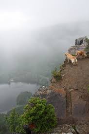 The Magnificent New Hampshire State Park That S So Worth The Journey State Parks New Hampshire Hiking Trip