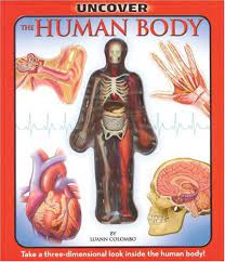Fully updated to reflect the latest medical information, the concise human body book is illustrated throughout with colourful and comprehensive diagrams, photographs, scans, and 3d artworks, which take you right into the cells and fibres that are responsible for keeping your body ticking. Uncover The Human Body An Uncover It Book Luann Colombo Jennifer Fairman 9781571457899 Amazon Com Books