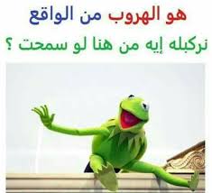 Pin By Ahmed Bakr On Funny Frog Funny Arabic Quotes Sarcastic Quotes Funny Funny Jokes