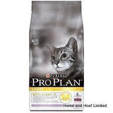 pin on cat food