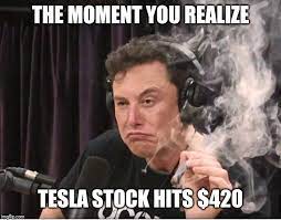 Second quarter results from elon musk's auto maker were the company's strongest on record. Tesla Stock Is At A Record High Meme