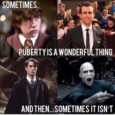 22 Harry Potter Memes Emma Watson Harry Potter Voldemort Harry Potter Memes Hilarious Harry Potter Puns