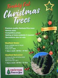 Maybe you would like to learn more about one of these? Christmas Trees To You Home Facebook