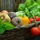 Harvesting Your Hard Work: Part 3 of the Growing Your Own Food Series