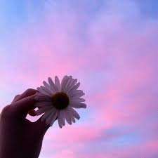 مساء يسعد أيامك ويبعد عنك أحزانك مساء يجدد أحوالك ويقرب منك احبابك violet aesthetic pastel aesthetic lavender aesthetic