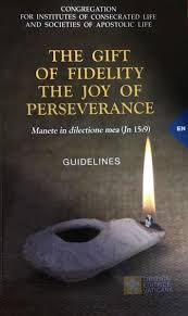 There are various categories for all ages. The Gift Of Fidelity The Joy Of Perseverance Manete In Dilectione Mea Gv 15 9 Guidelines Congregation For Institutes Of Consecrated Life And Societies Of Apostolic Life Vaticanum Com Vatican Books Sacred