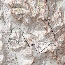 Yes, organ pipe has a dark side. Sonoran Super Bloom At Mount Ajo Organ Pipe Cactus National Monument