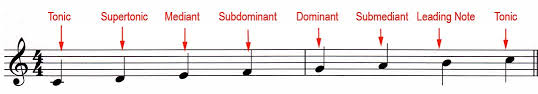 For more information check out my detailed guide to scale degree names here. The Degrees Of The Scale Music Theory Academy