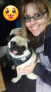 If you are a #pug owner or lover🥰 Plz join with us & enjoy🥰