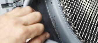 We did not find results for: Remove Mold From Washing Machines A Step By Step Guide
