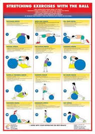 Swiss Exercise Ball Stretching Chart Stretch