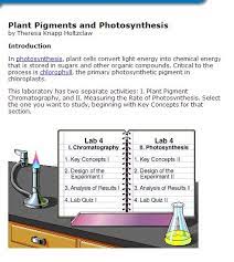 Plant Pigments Photosynthesis Lab Photosynthesis Scientific Method Middle School Interactive Science Notebook