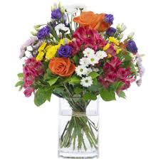We did not find results for: Bitburg Germany Same Day Flower Delivery