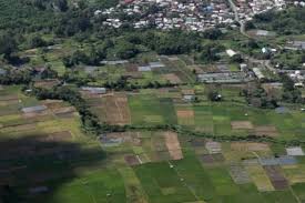 Pintu masuk dari telaga ini tidak begitu jauh. Bentuk Desa Dan Klasifikasinya Halaman All Kompas Com