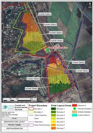 Image result for Blepharis acanthodioides