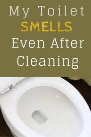 My Toilet Smells Even After Cleaning Toilet Cleaning Hacks Bathroom Smells Toilet Cleaning