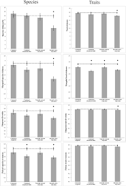 Image result for Microcharis remotiflora