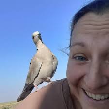 Anyone ever had a dove land