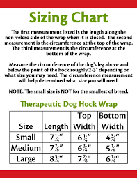 Back On Track Therapeutic Dog Hock Wrap