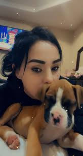 Boxer puppy growth and development at 10 weeks old