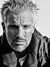 43 Silver Foxes ideas