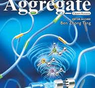 Aggregate Author Guidelines