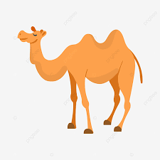 How to buy camel commercial? Camel Cartoon Camel Clipart Isolated Journey Png And Vector With Transparent Background For Free Download