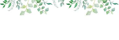 Evan Downing and Rachel Haas's Wedding Website