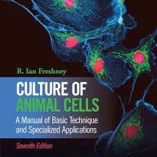 Contact us to discuss your cell culture needs. Pdf Principles Of Animal Cell Culture