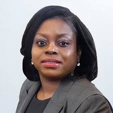 Equity and Belonging Teams at SON