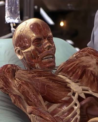 Hollow Man” Turns 20: A Look Back at the Invisible Thriller That Pushed  Boundaries Released 20 years ago today on August 4, 2000, Hollow Man  brought a new, terrifying twist to the classic concept of