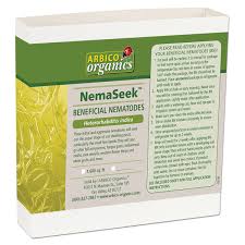 Steinernema carpocapse nematodes (sc) it's most effective against flea larvae and caterpillars in lawns, garden soil, and under trees where larvae pupate. Beneficial Nematodes For Small Hive Beetle Control H Indica