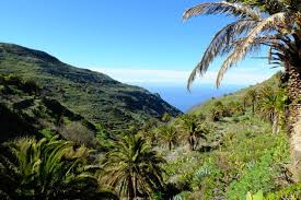 Randonnee La Gomera Garajonay Randonnee Canaries 8 Jours
