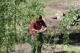 Get alpine tree service reviews, ratings, business hours, phone numbers, and directions. Alpine Tree Service 7863 W Mossy Cup St Boise Id Tree Services Mapquest