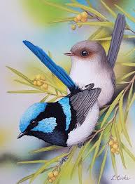 Paintings For Sale Lyn Cooke Artist Bird Art Birds Painting Bird Drawings