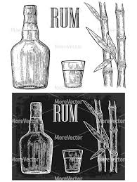 Glass Bottle Rum And Sugar Cane Bottle Drawing Rum Bottle Rum
