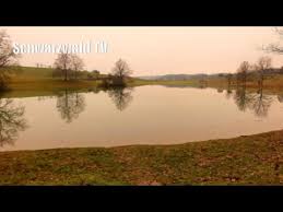28,926 likes · 4,211 talking about this. Saharastaub Von Afrika An Den Eichener See Bei Schopfheim Geweht 06 02 2021 Youtube