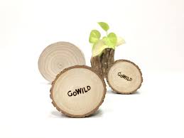 go wild 夠野 台灣香樟 夠野小木墊杯墊 木片 木座 客製禮物 go wild 夠野 杯墊 pinkoi fruit coconut