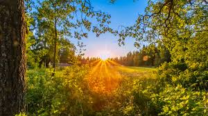 Qué es y cómo verlo. El Solsticio De Verano Por Que Se Produce Y Que Indica Exactamente