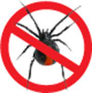 Roaches,mice,bees and all other pests! All U Need Pest Control Home Facebook