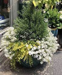 180 Container Gardening Ideas And Inspiration Easy Balcony Gardening Containergarden Containerga In 2021 Container Flowers Container Garden Design Container Plants