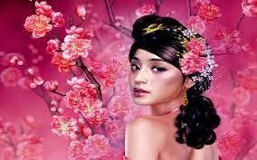 We did not find results for: 370 Cherry Blossom Hd Wallpapers Hintergrunde
