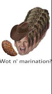 Wot N Marination What In Tarnation Memes The Funny Laughing So Hard
