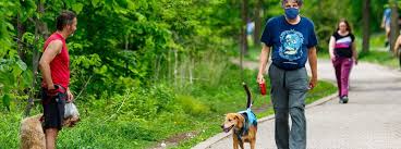 Sabemos que existen canciones dedicadas a miles de personas o a miles de situaciones, pero también hay unas que están dedicadas a esos seres que tanto amamos: Mtdxrulsbehiom