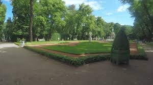 He stumbles upon a lovable dragon named elliot, and the two become inseparable companions. Bertam Penang June 6th Stock Footage Video 100 Royalty Free 1031972540 Shutterstock