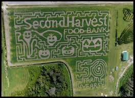 Previous Maze Designs