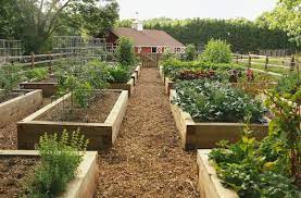 Maybe you would like to learn more about one of these? Raised Bed Garden From A Z What To Know Joe Gardener