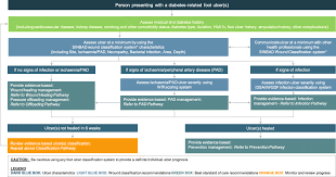 Image result for IDSA Diabetic Foot Wound Classification