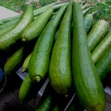 Image result for Luffa acutangula