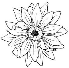 Sunflower drawing sunflower black and white clipart #9699262. Beccy S Place Sunflower Drawing Drawings Mandala Drawing